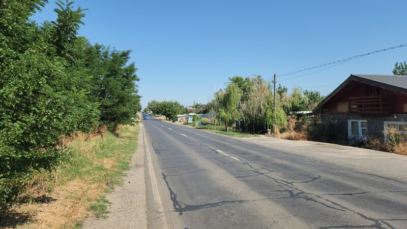 Frumusani, Pasarea, stradal DJ, ideala investitie, intravilan