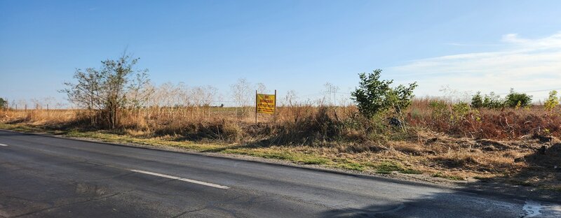 Frumusani, Pasarea, stradal DJ, ideala investitie, intravilan