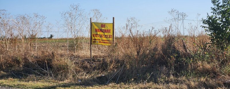 Frumusani, Pasarea, stradal DJ, ideala investitie, intravilan