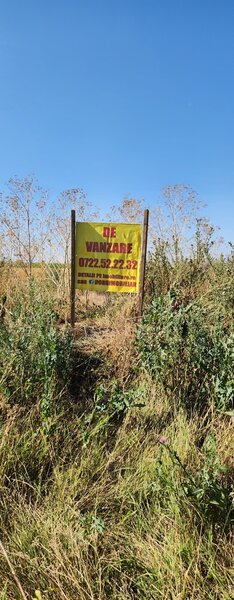 Frumusani, Pasarea, stradal DJ, ideala investitie, intravilan