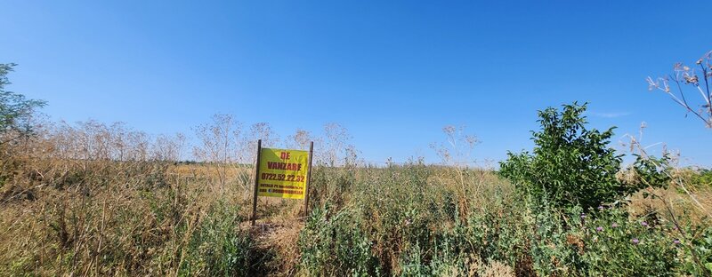 Frumusani, Pasarea, stradal DJ, ideala investitie, intravilan