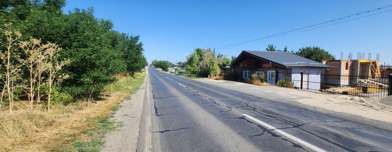 Frumusani, Pasarea, stradal DJ, ideala investitie, intravilan